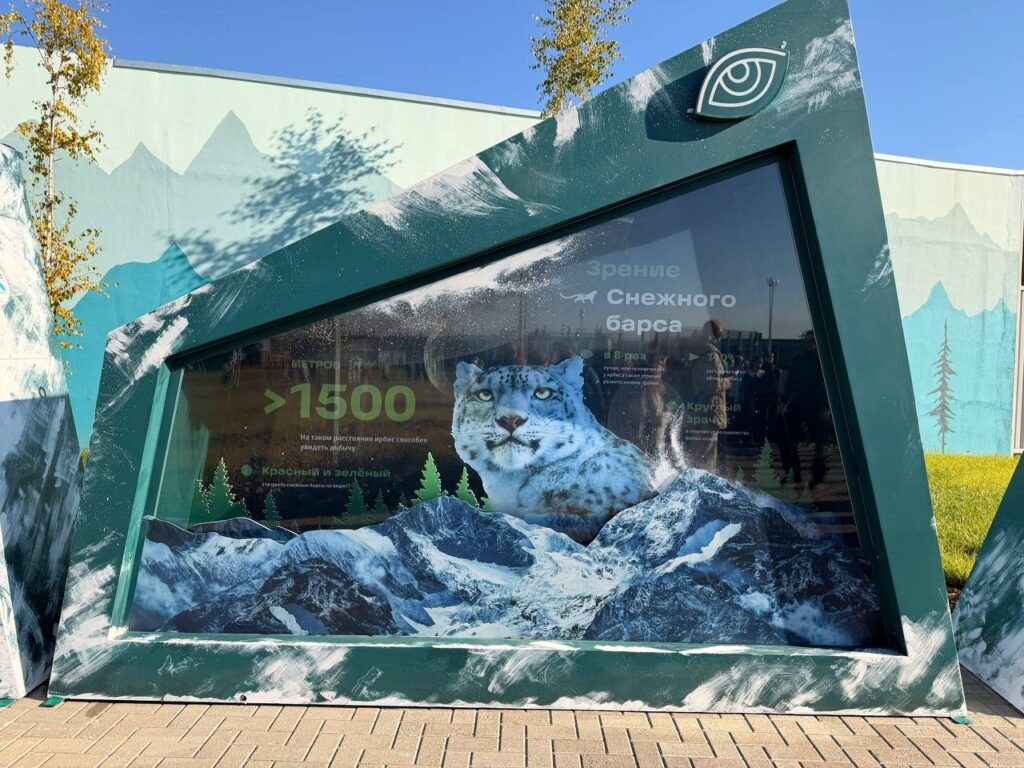    Фото: v-kurse.ru Катерина Заякина