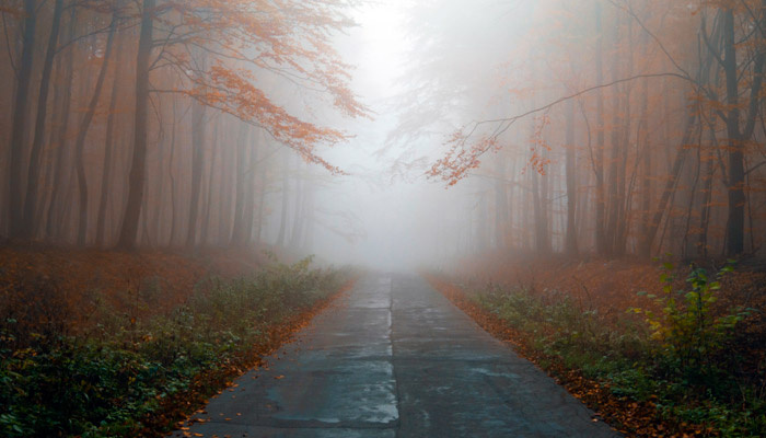 9 октября отмечается Иван Богослов. На Руси верили, что апостол Иоанн Богослов покровительствует путешественникам и творческим людям. Фото: pxhere.com