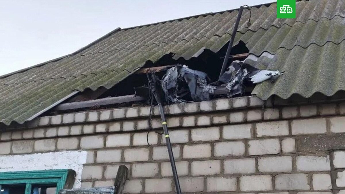    Фото: SALDO_VGA / t.me