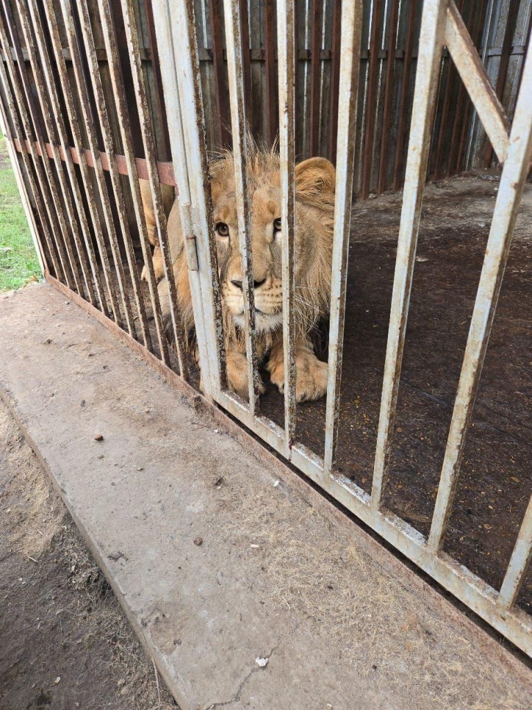 Фото: Росприроднадзор 