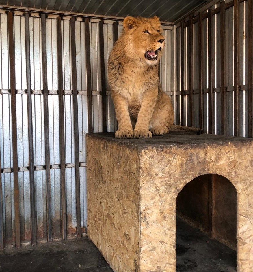 Фото: Росприроднадзор 