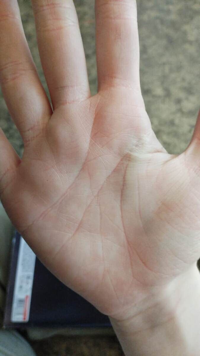 Фото с моего канала Дзен