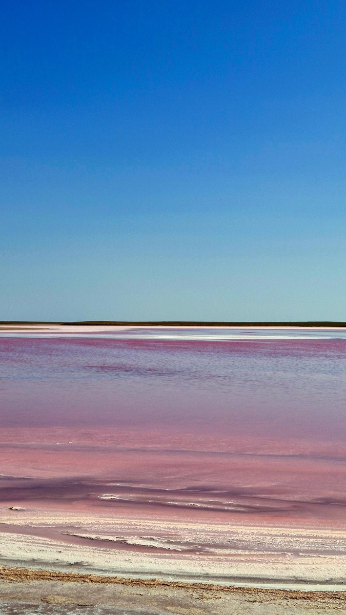 Меклетинское розовое озеро в Кплмыкии  | Личное фото