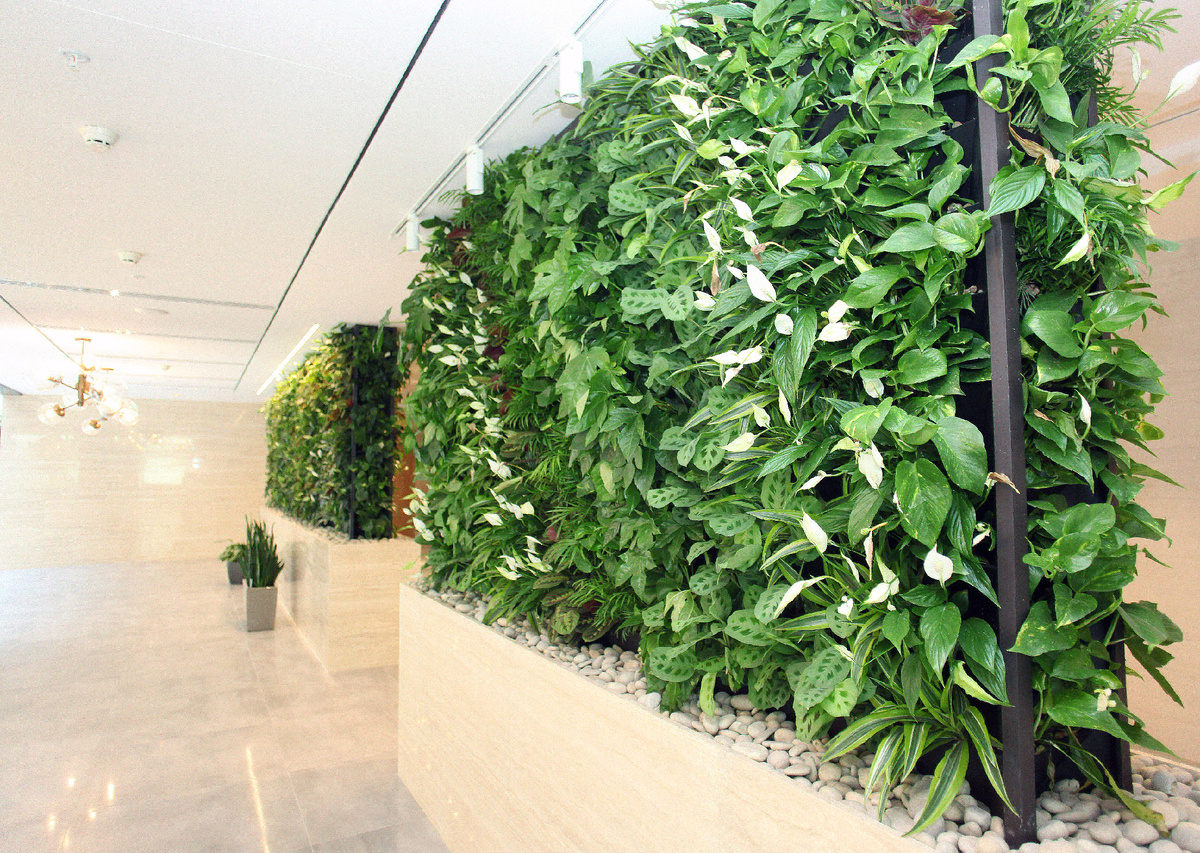 Живые стены от Liana Green в интерьере Клиники