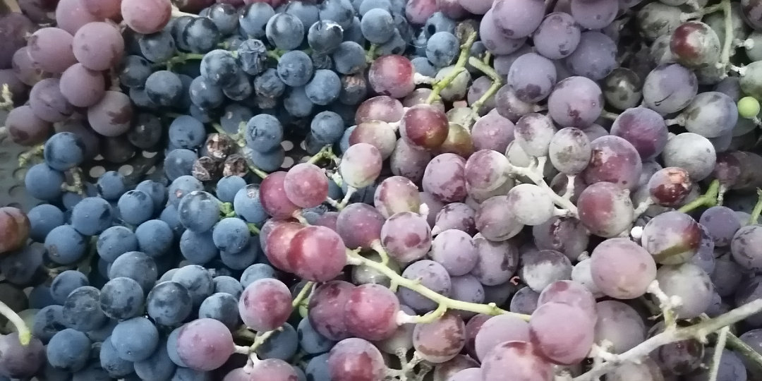 6 день отпуска.Поездка в Перелюб.