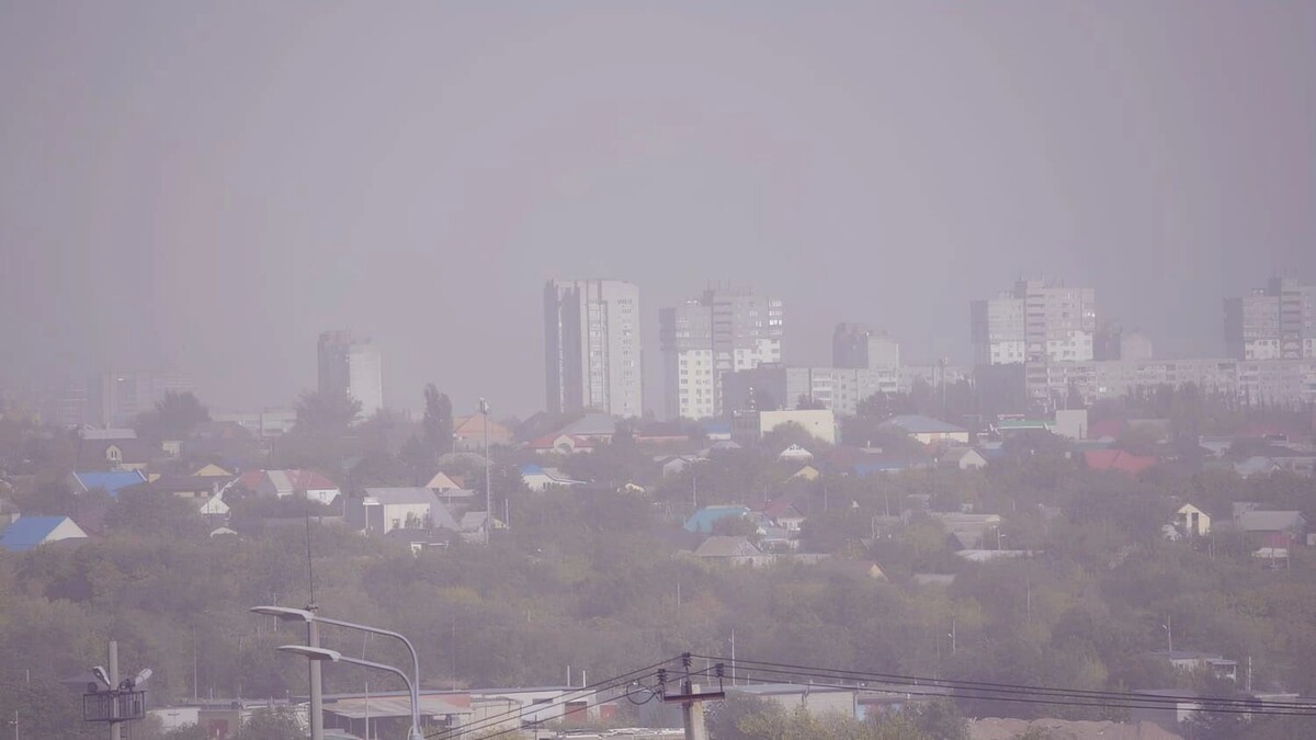     Источник: novostivolgograda.ru