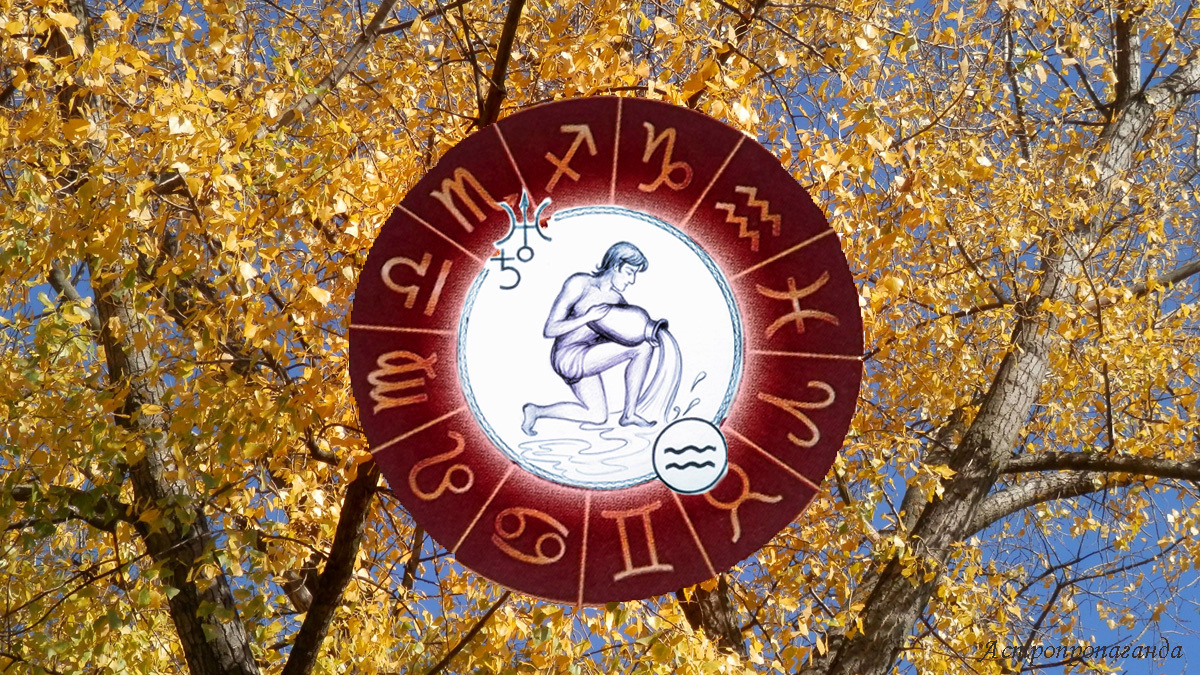 Гороскоп для Водолея с 6 октября по 2 ноября 2025.