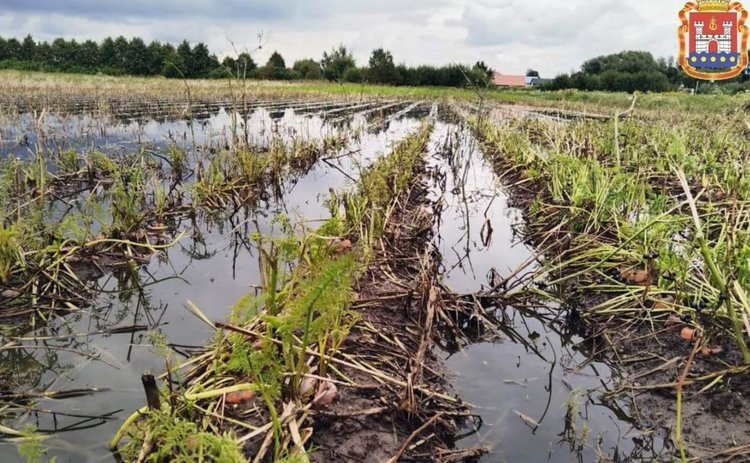    Фото: Минсельхоз Калининградской области