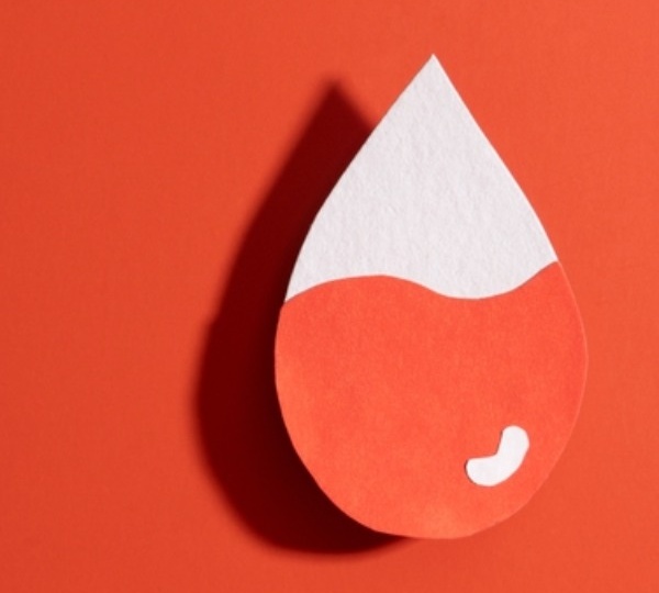 Ферритин и гематокрит: как они связаны и зачем знать об уровне железа в организме