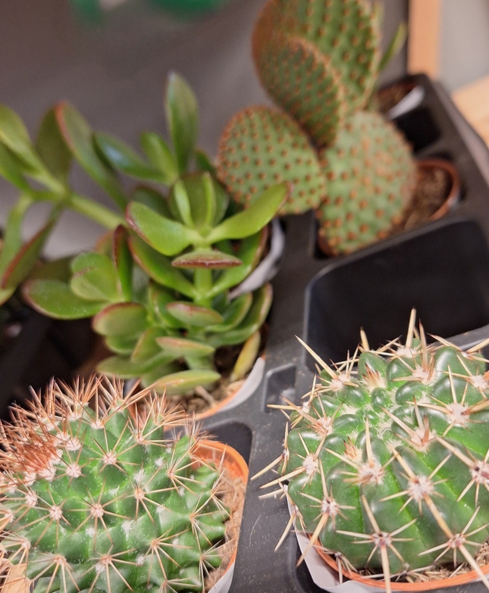 Фотоколлаж - собственность автора канала "ТАК НАДО".