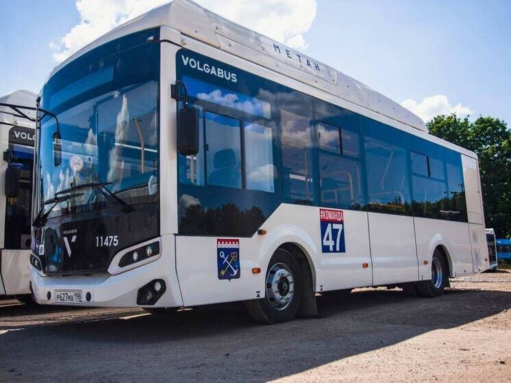     Фото: телеграм-канал правительства Ленобласти.