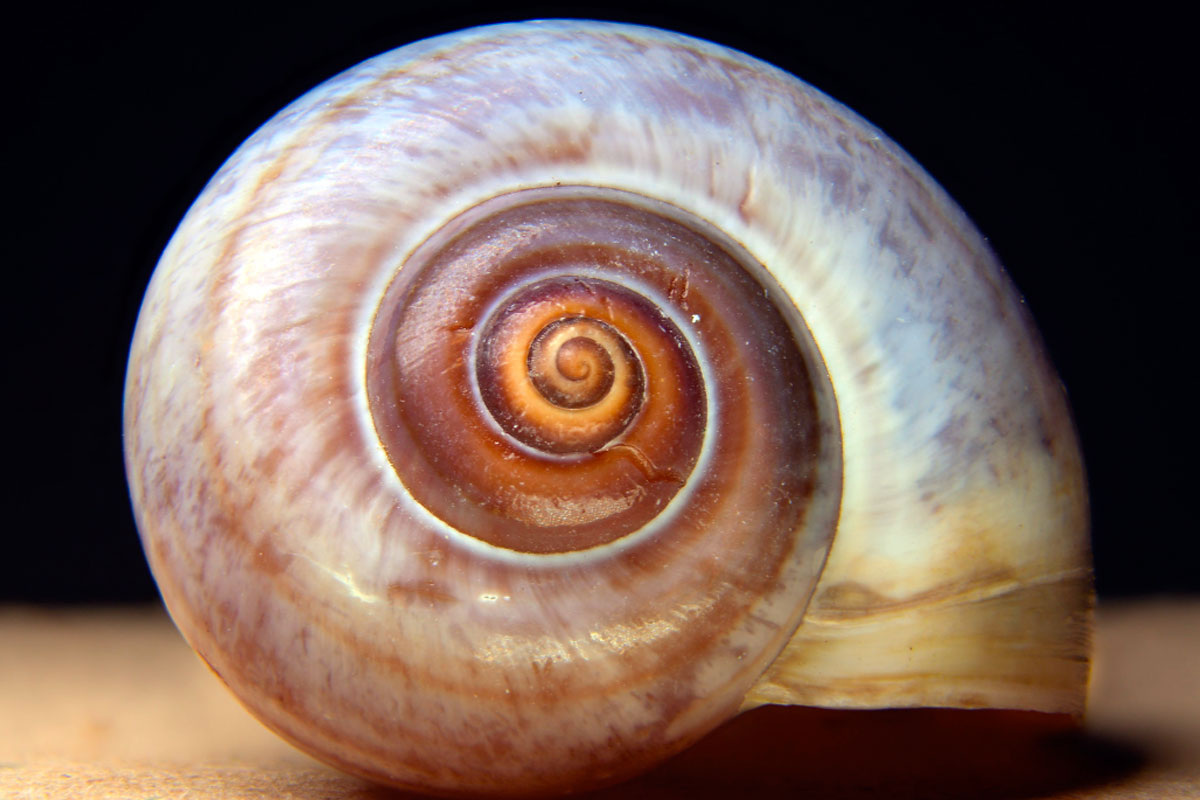 Почему существует всё? Вселенная, законы физики, время и пространство? Почему нет вечной тишины и пустоты?