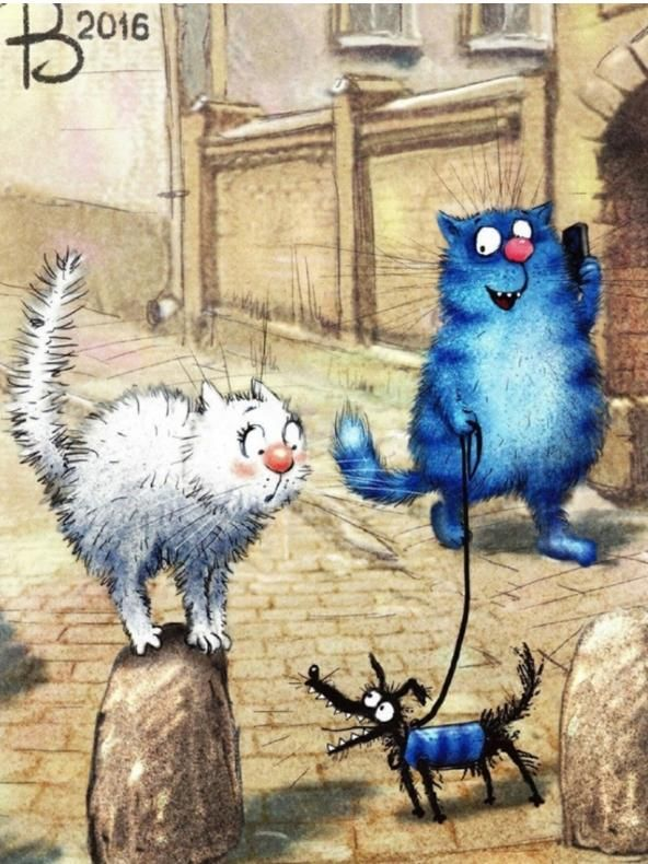 очаровательные коты Рины Зенюк