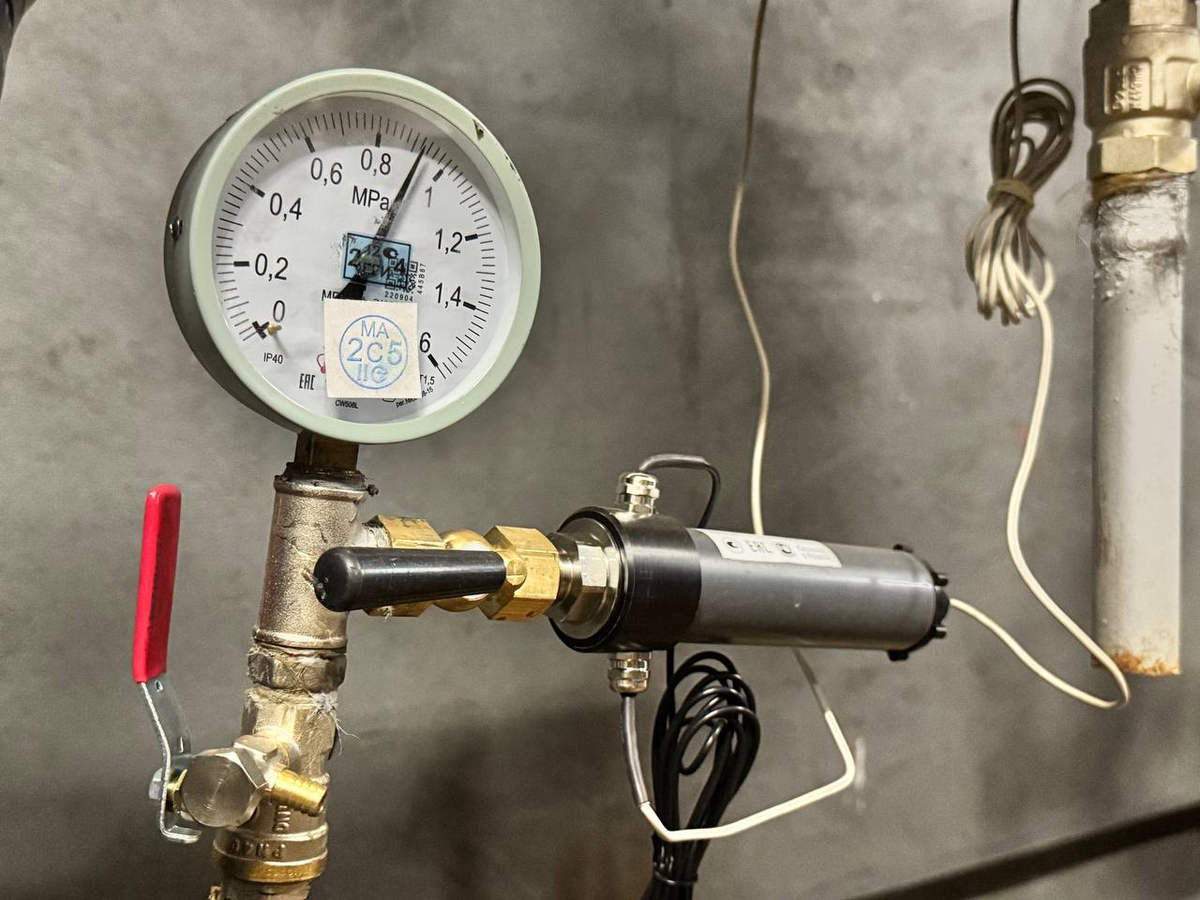    Фото: Администрация городского округа Котельники, источник: kotelniki.ru