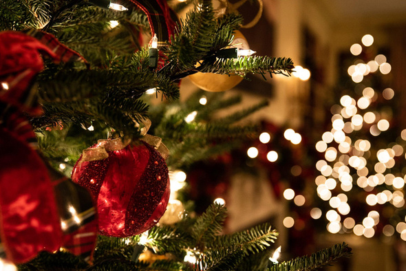     Tessa Rampersad/Unsplash