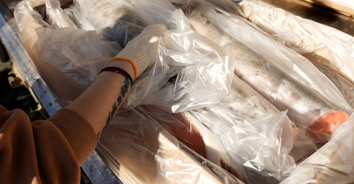 Фото администрации Усть-Камчатского округа