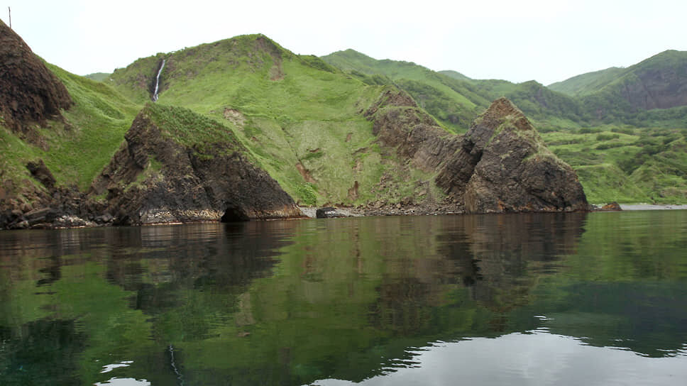 Фото: Дмитрий Лекай / Коммерсантъ