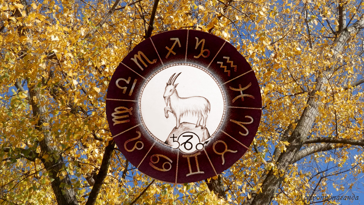 Гороскоп для Козерога с 6 октября по 2 ноября 2025.