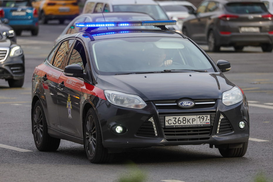    Наталья Шатохина/NEWS.ru