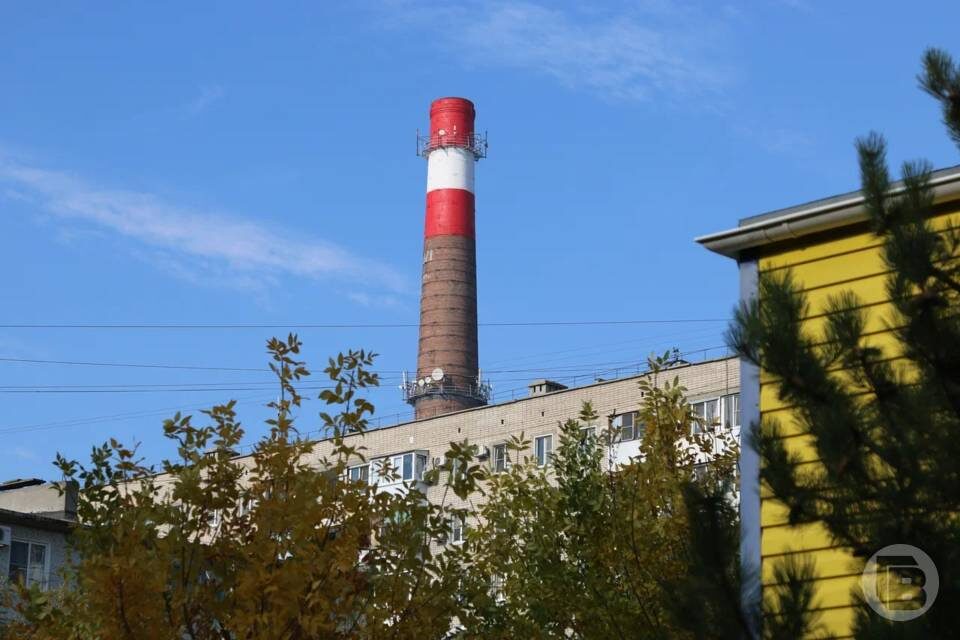    Фото: Матвей Горбунов / "Городские вести"