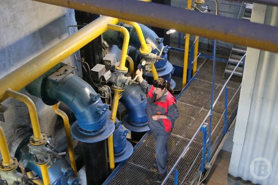    Фото: Матвей Горбунов / "Городские вести"