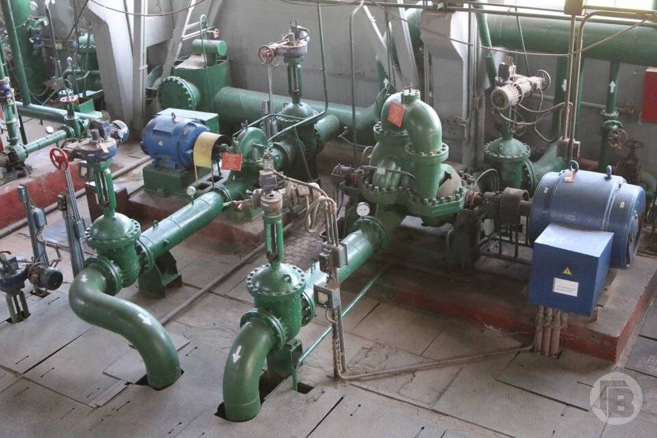    Фото: Матвей Горбунов / "Городские вести"