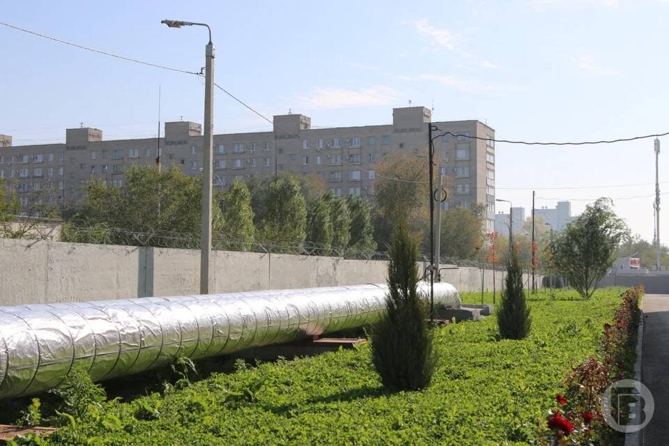    Фото: Матвей Горбунов / "Городские вести"