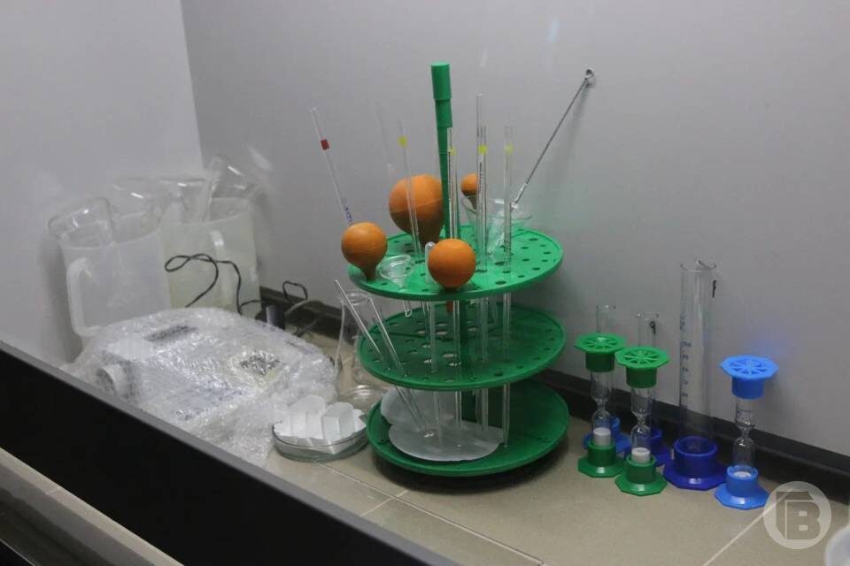    Фото: Матвей Горбунов / "Городские вести"