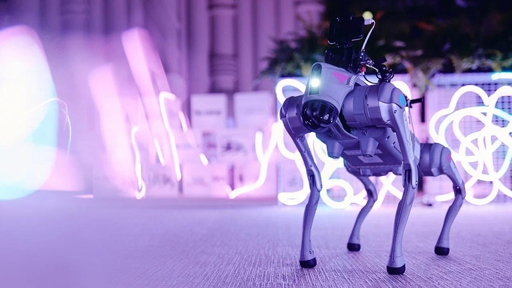 Фото: Пресс-служба АНО «Россия - страна возможностей»