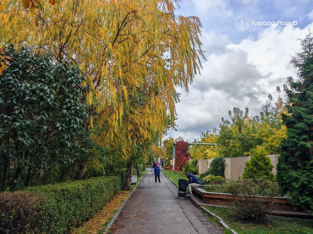     Фото: Города Лайф