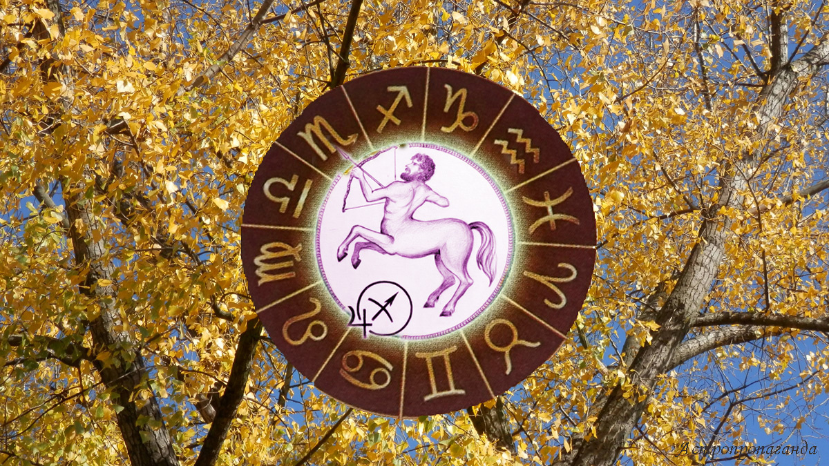 Гороскоп для Стрельца с 6 октября по 2 ноября 2025.