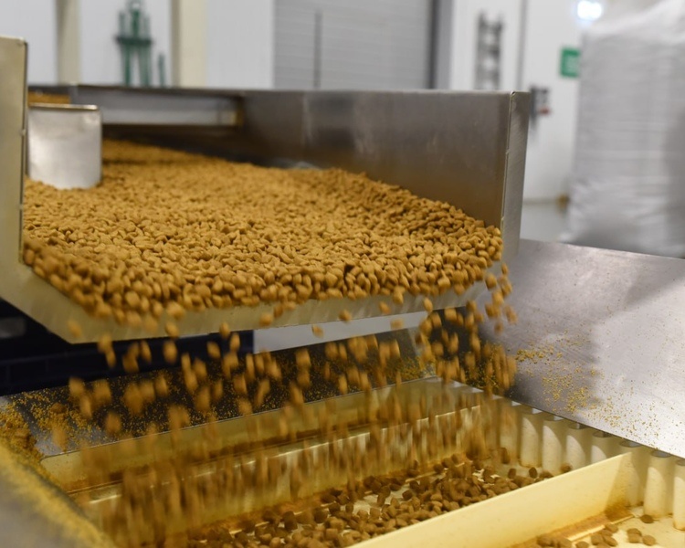     Специалисты Россельхознадзора досмотрели 600 тысяч тонн продукции в Курской области