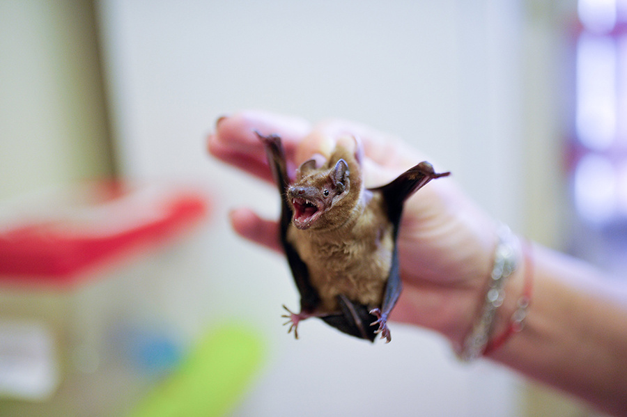    ©Агентство городских новостей "Москва"