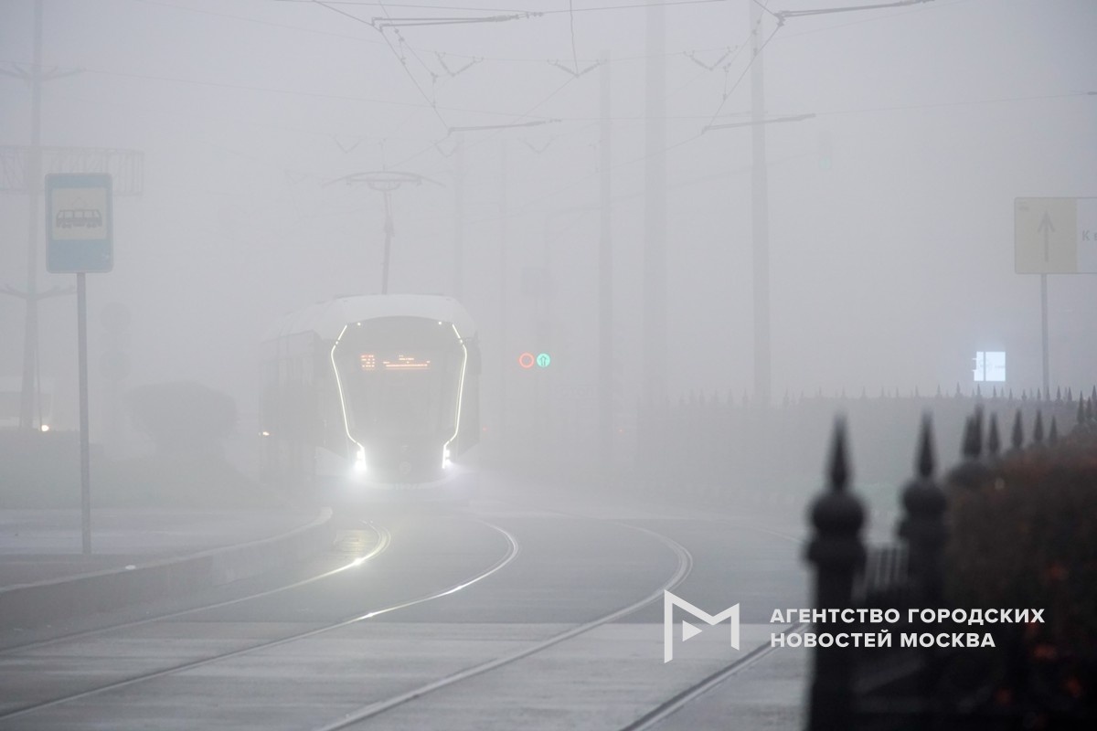 Фотограф: Александр Авилов