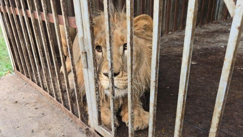      Фото: Северо-Кавказское управление Росприроднадзора