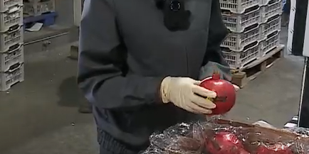     В Красноярский край из-за рубежа начали привозить больше овощей и фруктов