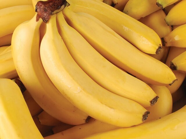    Фото: depositphotos/MSeN