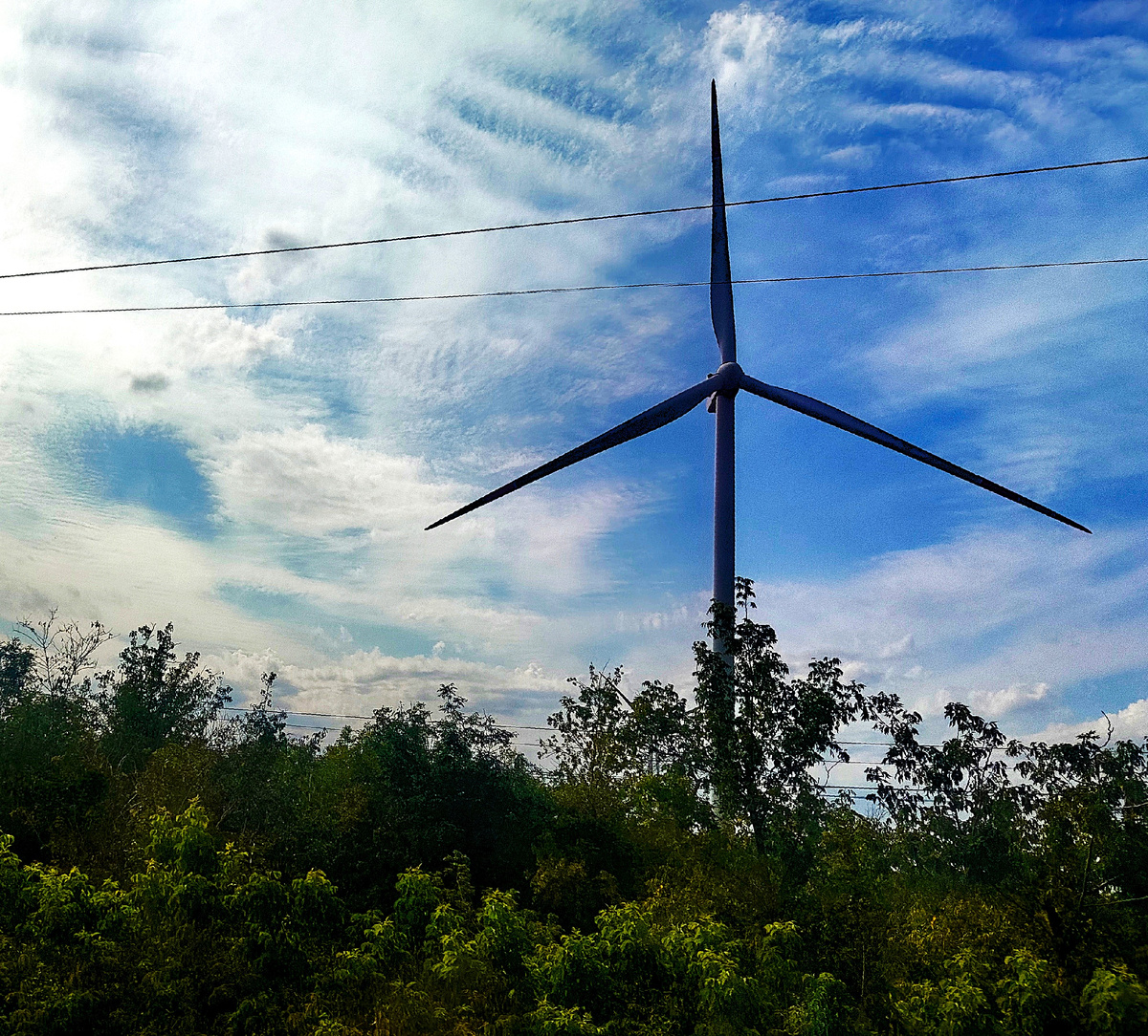 Ветряки по пути следования поезда