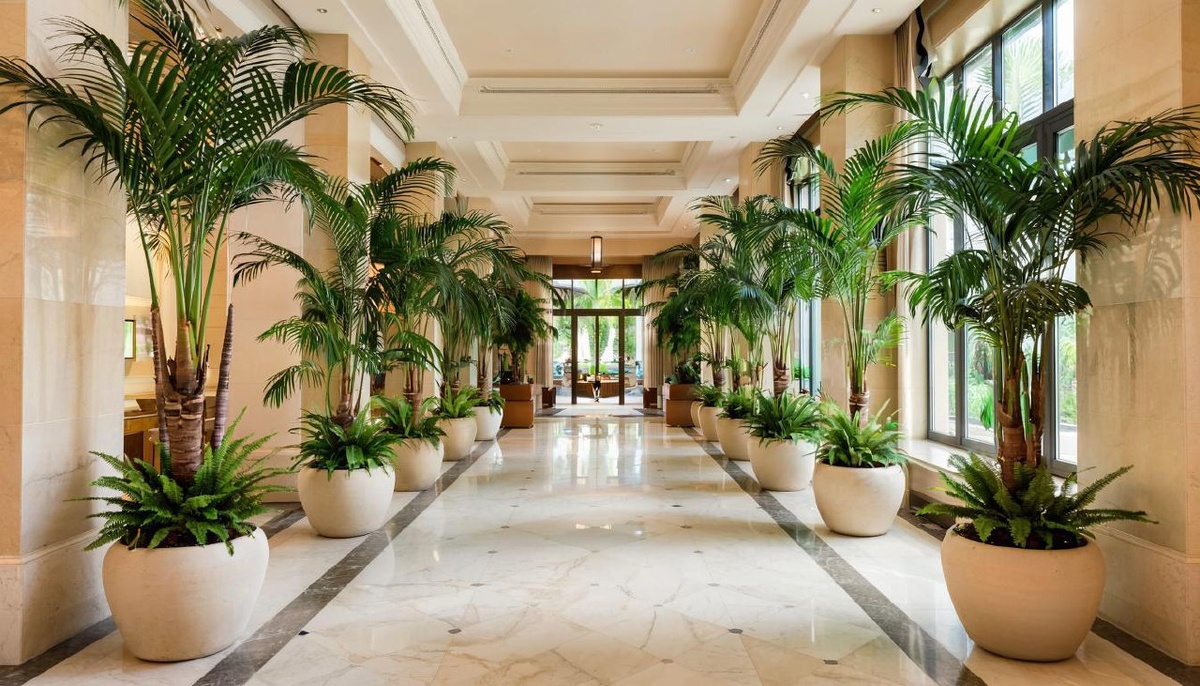 Растения для мероприятий