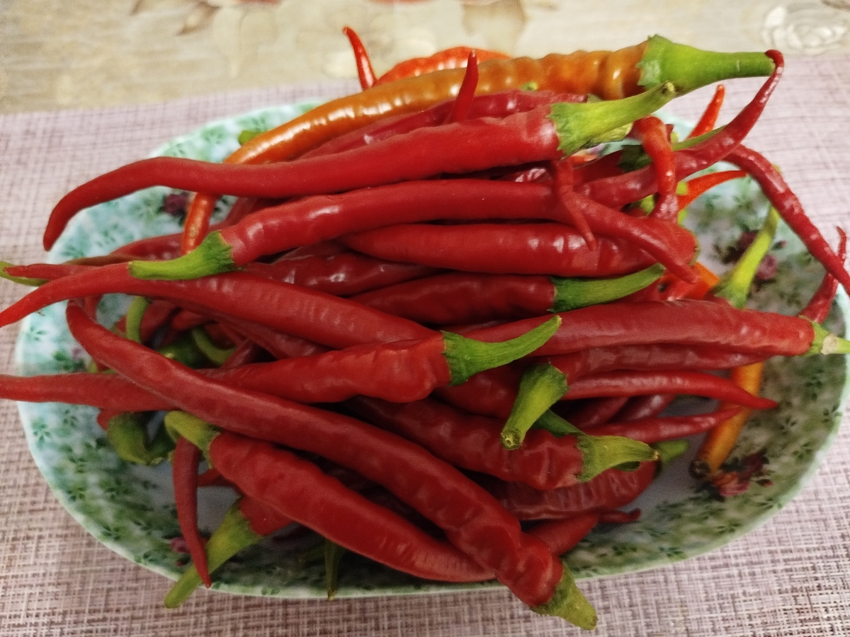 Острый перец