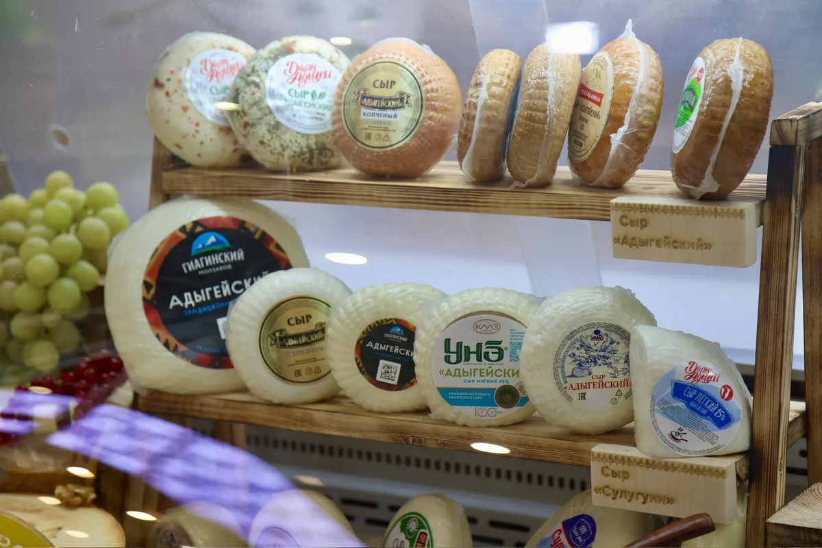    Фото: Правительство Адыгеи, источник: adygheya.ru