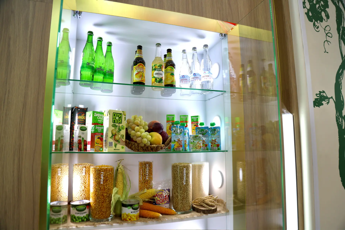    Фото: Правительство Адыгеи, источник: adygheya.ru