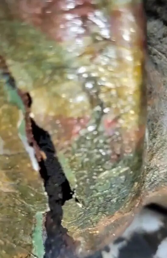    Фото: стоп-кадр видео из чата поддержки жильцов