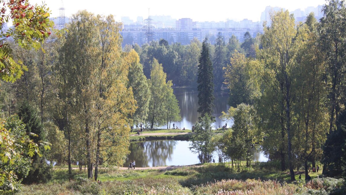    Фото: wikimedia.org