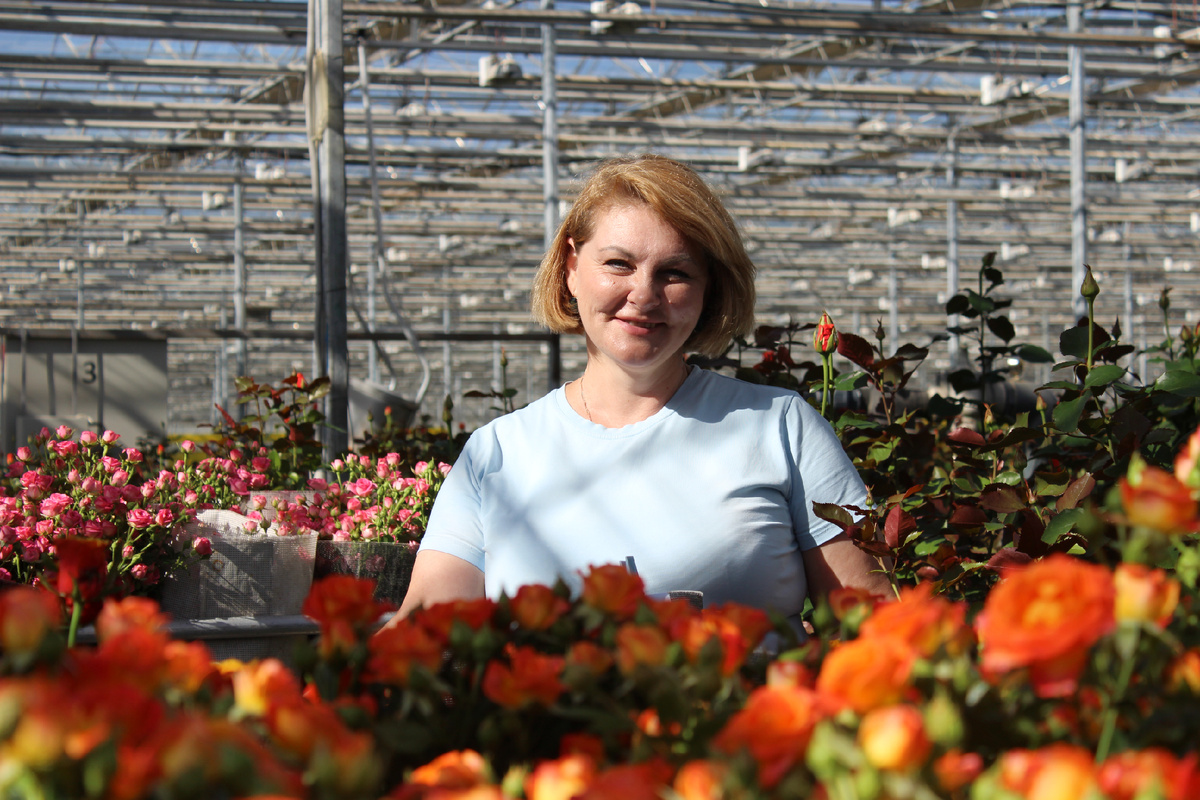Агроном Анна Третьякова: «Розы - моя любовь, душа и сердце». 