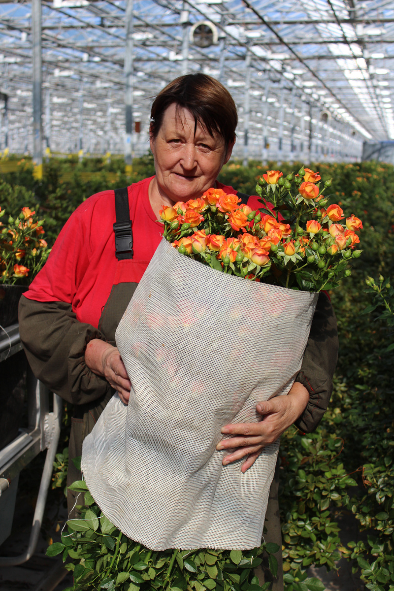 Цветовод Наталья Юрова не расстаётся с цветами даже на пенсии.