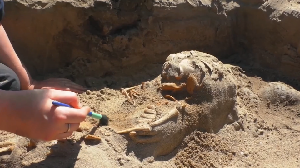 ФОТО: Кадр из программы "Тайны Чапман", РЕН ТВ