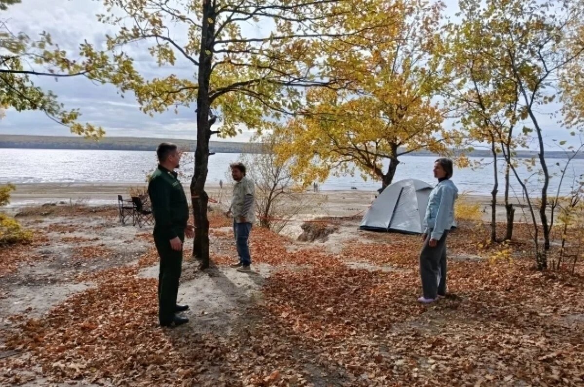    70 дел за нарушение правил пожарной безопасности в лесах возбудили в Пензе