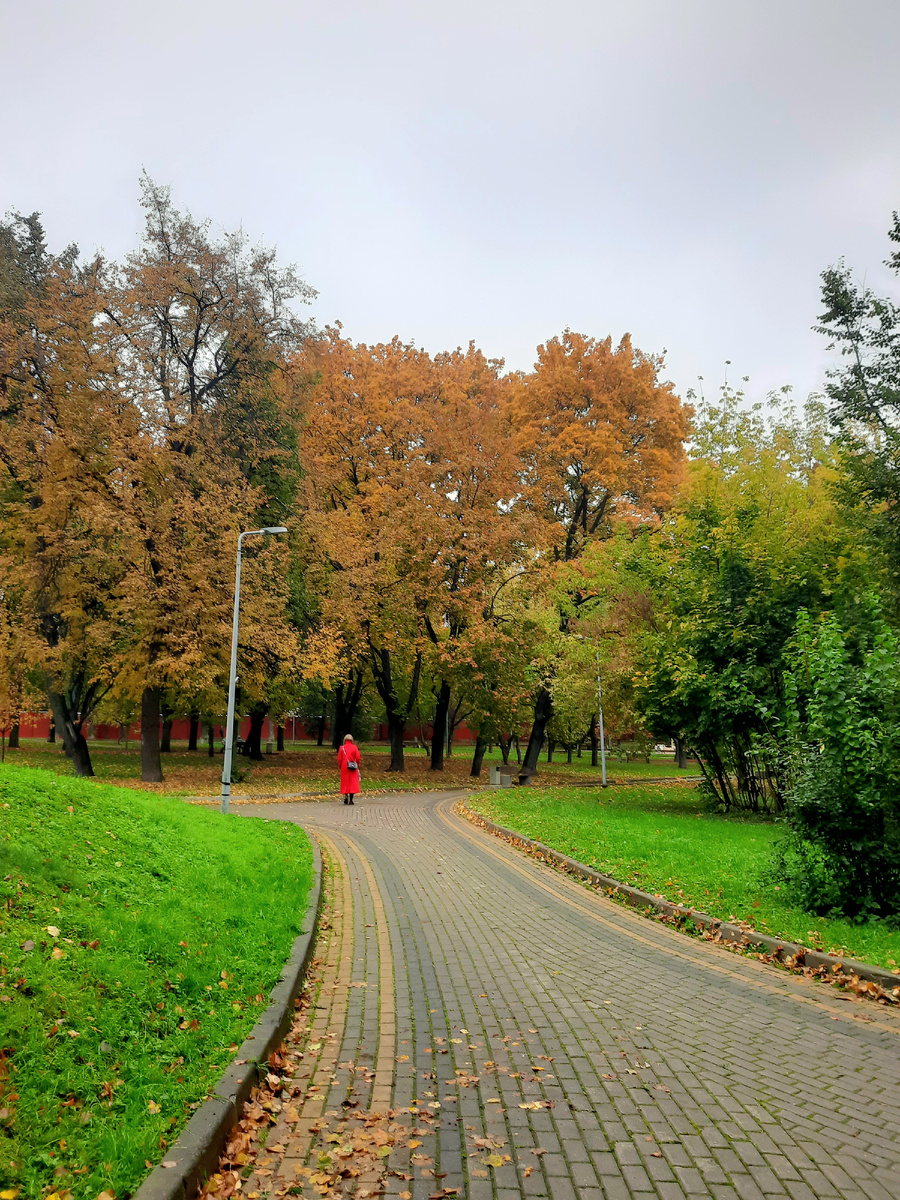 Фото автора. Понравилась мне эта одинокая женщина в красном в осеннем парке 🍁