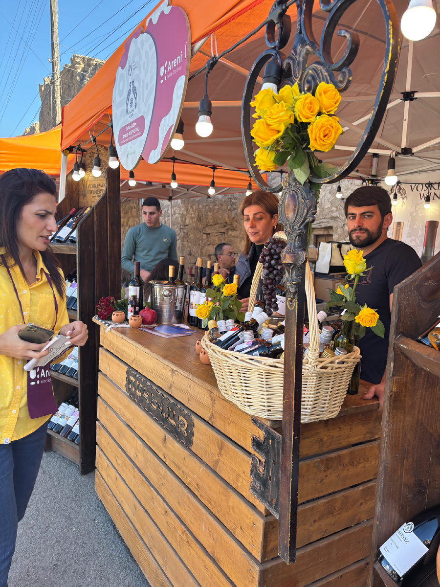 Фестиваль в Арени